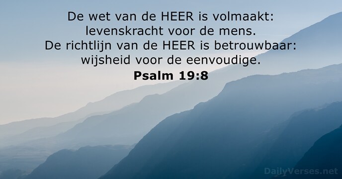 Psalm 19:8
