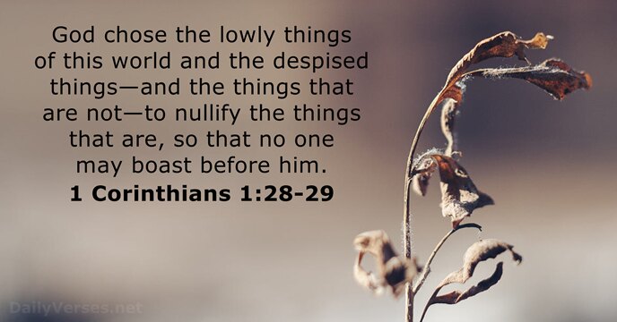 1 Corinthians 1:28-29