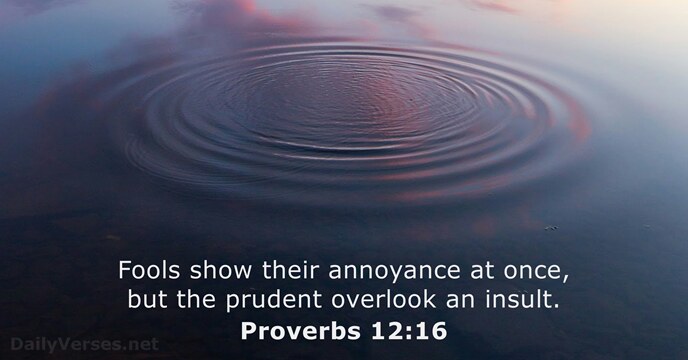 Proverbs 12:16