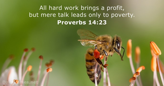 Proverbs 14:23