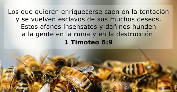 1 Timoteo 6:9