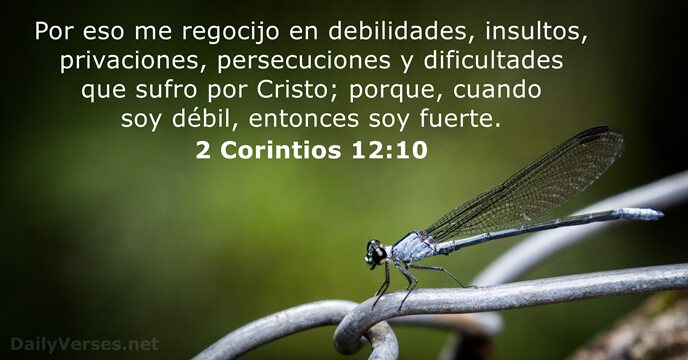 Por eso me regocijo en debilidades, insultos, privaciones, persecuciones y dificultades que… 2 Corintios 12:10