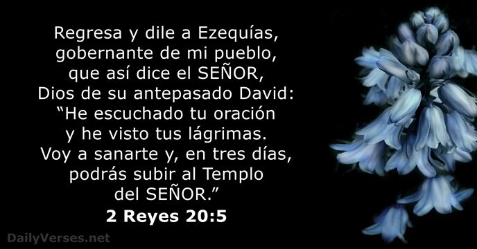 2 Reyes 20:5