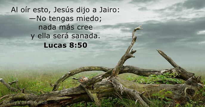 Lucas 8:50