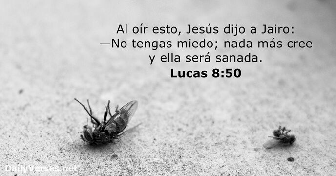 Lucas 8:50