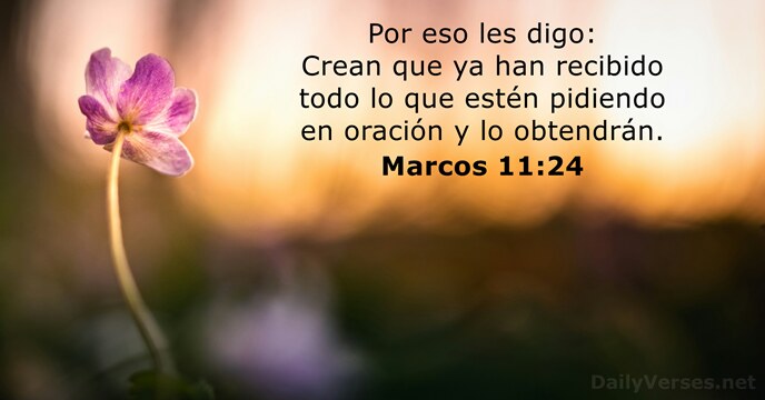 Por eso les digo: Crean que ya han recibido todo lo que… Marcos 11:24