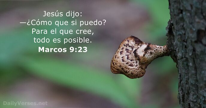Marcos 9:23