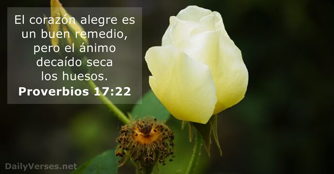 Proverbios 17:22