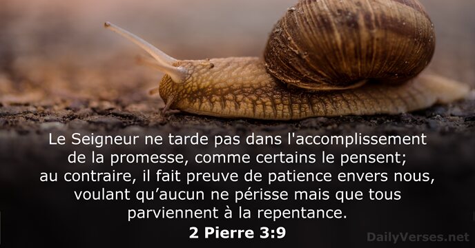 Le Seigneur ne tarde pas dans l'accomplissement de la promesse, comme certains… 2 Pierre 3:9