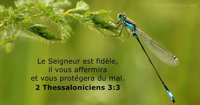 Le Seigneur est fidèle, il vous affermira et vous protégera du mal. 2 Thessaloniciens 3:3