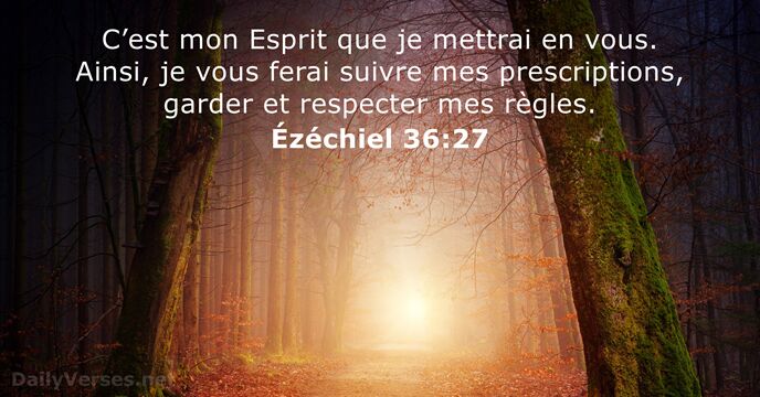 C’est mon Esprit que je mettrai en vous. Ainsi, je vous ferai… Ézéchiel 36:27