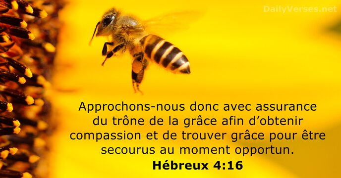 Approchons-nous donc avec assurance du trône de la grâce afin d’obtenir compassion… Hébreux 4:16