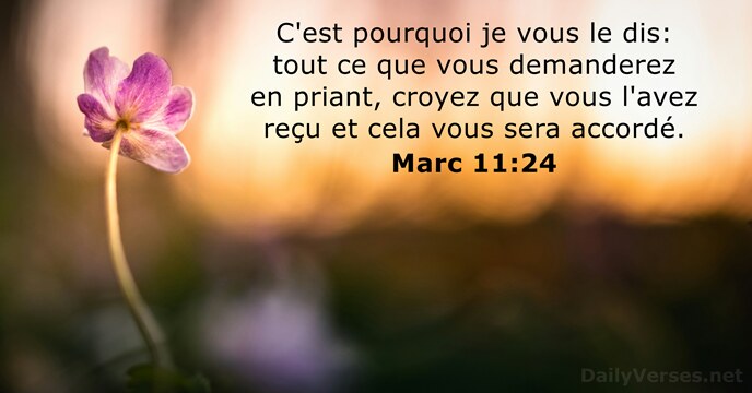 C'est pourquoi je vous le dis: tout ce que vous demanderez en… Marc 11:24